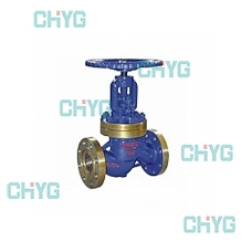 Chrome molybdenum steel globe valve