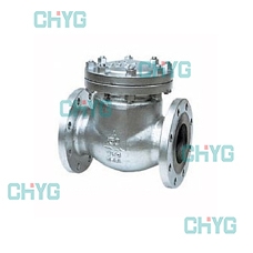 American standard check valve