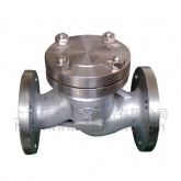 Titanium lift check valve