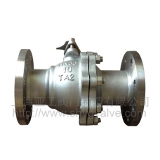 Q41F DN80-10 ti titanium valve