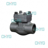 The check valve