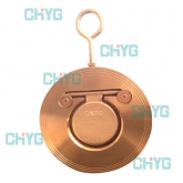 Single titanium type check valve