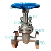 Pure nickel gate valves