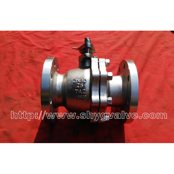 Titanium ball valve