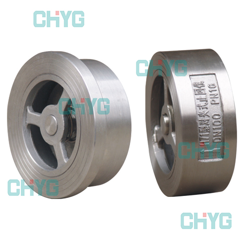 Titanium check valve 0