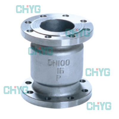 Vertical titanium check valve